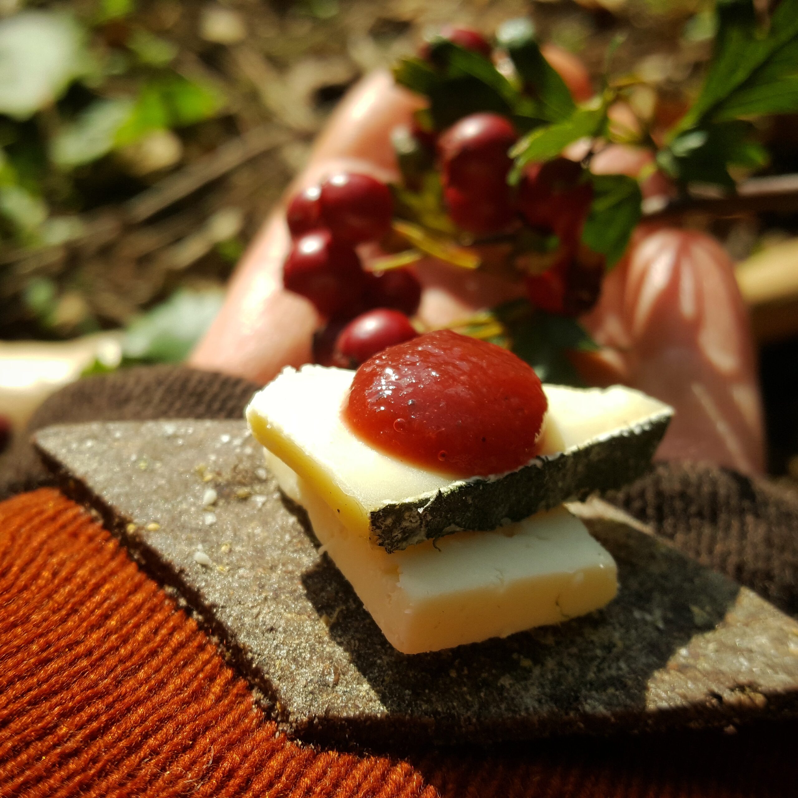 Hawthorn ketchup on dock seed cracker